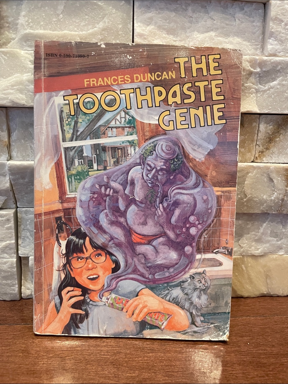 The Toothpaste Genie by Frances Duncan